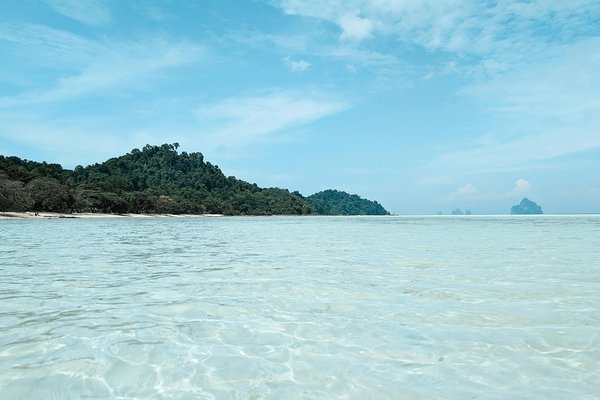 Où fêter janvier : top des lieux incontournables !