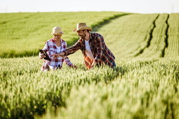 Comment visiter des fermes bio et participer à la cueillette des fruits en famille sans frais ?