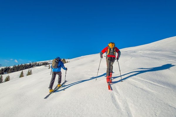 Quels sont les meilleurs parcours cachés pour une randonnée pédestre dans les Alpes japonaises ?